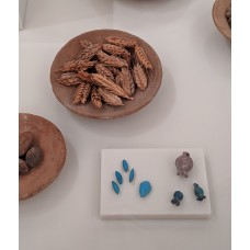 Wheat Ears or Spikes, Models of grains